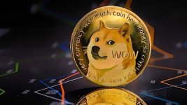 dogecoin-dodge-coin-2021-1200x675-1-1.jpeg