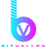 BitValley Presale